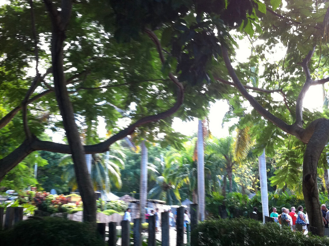 Grand Jamaica and Dunns River Falls Tour-法尔茅斯必去景点