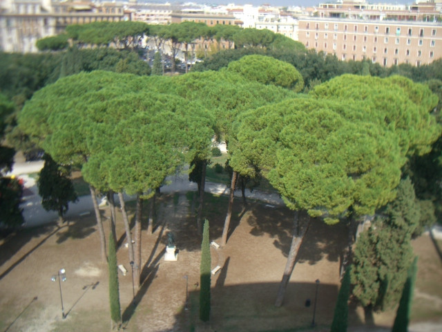 圣天使堡-罗马必去景点