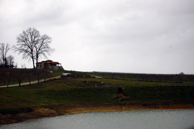 Raffaldini Vineyards & Winery景点图片