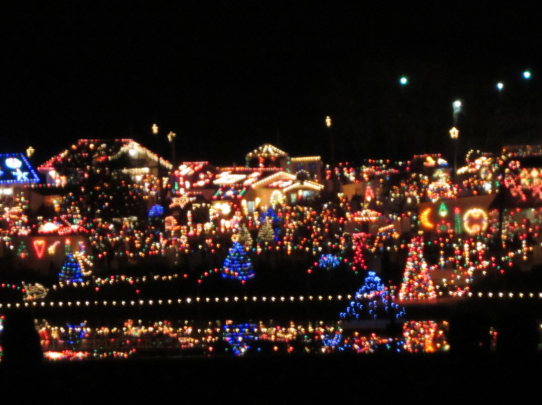 Koziar's Christmas Village景点图片