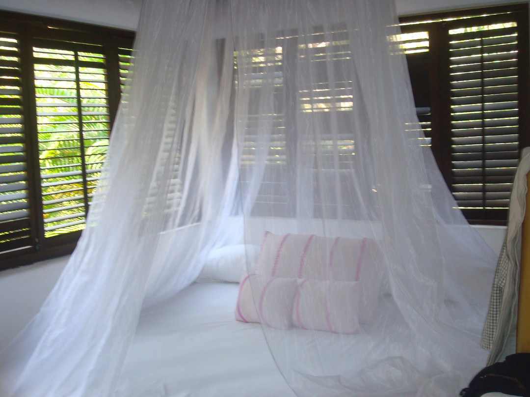 Vallarta Adventures-瓦拉塔港必去景点