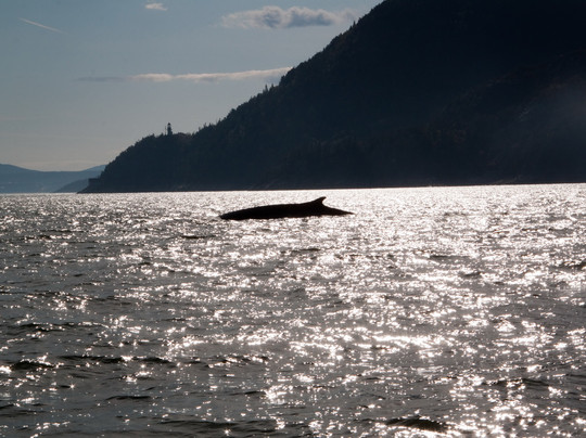 Otis Excursions-泰道沙克必去景点