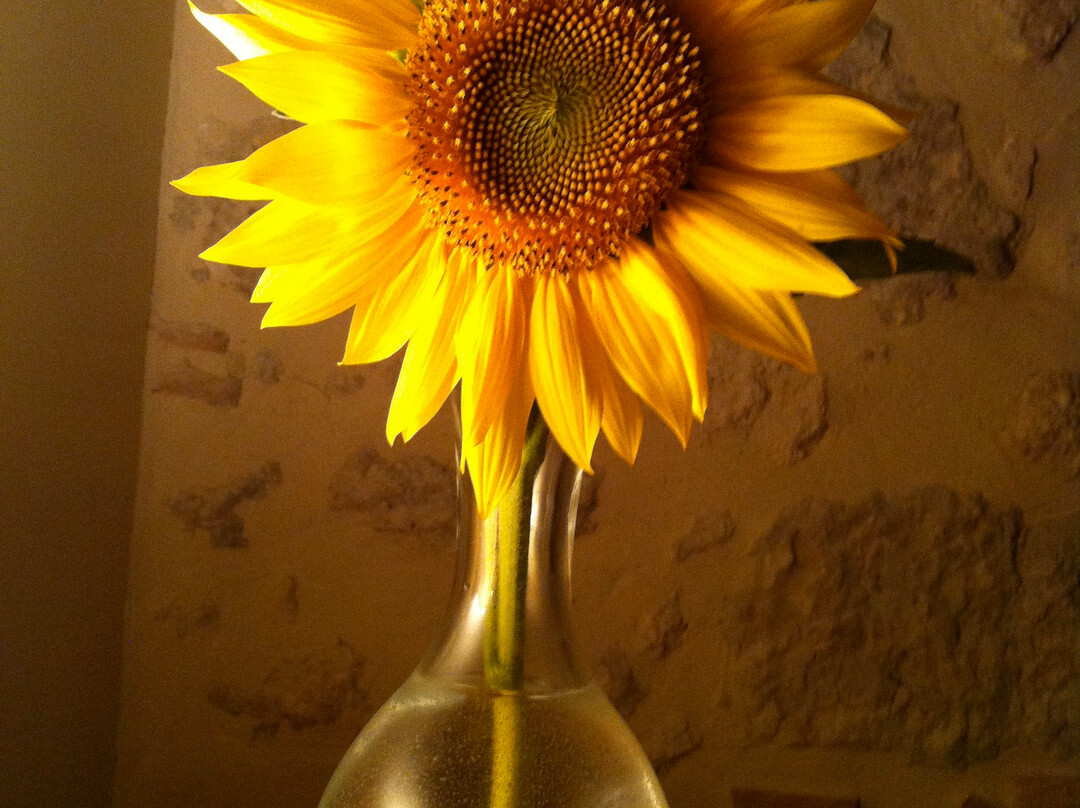 Le Gargantua-Anzex必去景点