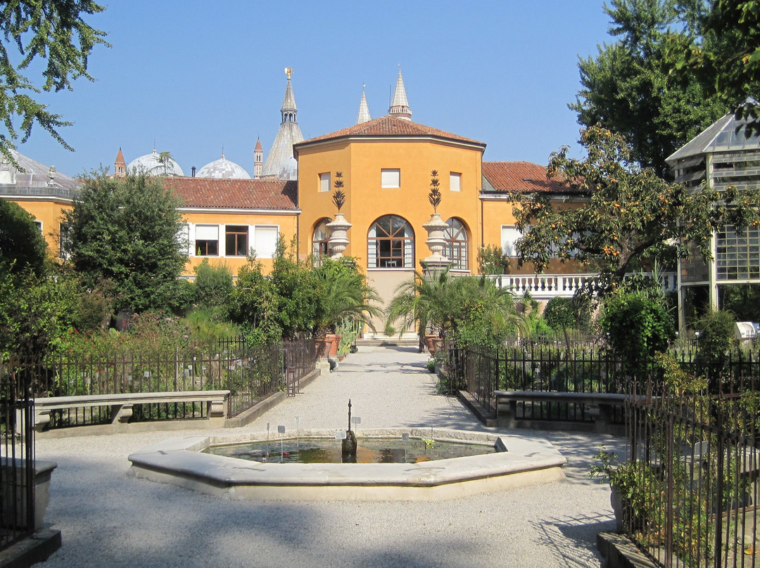 Orto Botanico 1545-帕多瓦必去景点
