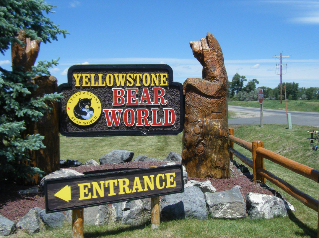 黄石公园熊世界-雷克斯堡必去景点