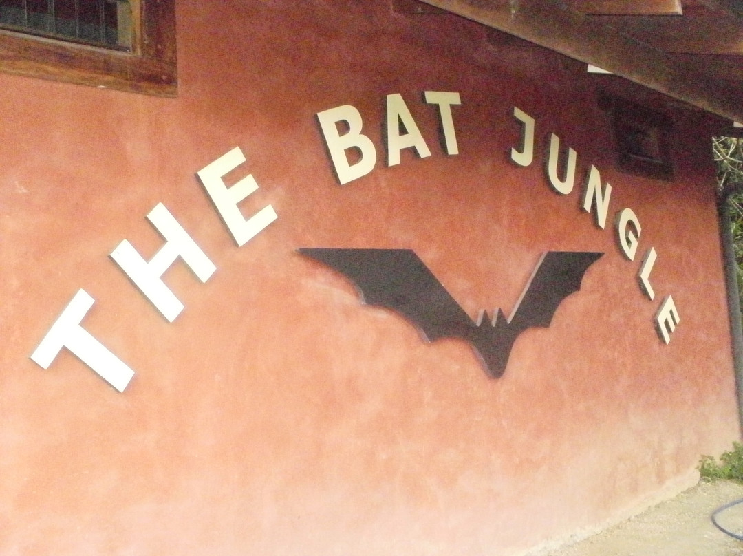 The Bat Jungle景点图片