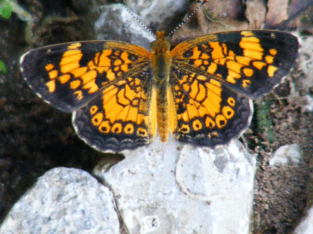 Ray Harral Nature Park-Broken Arrow必去景点