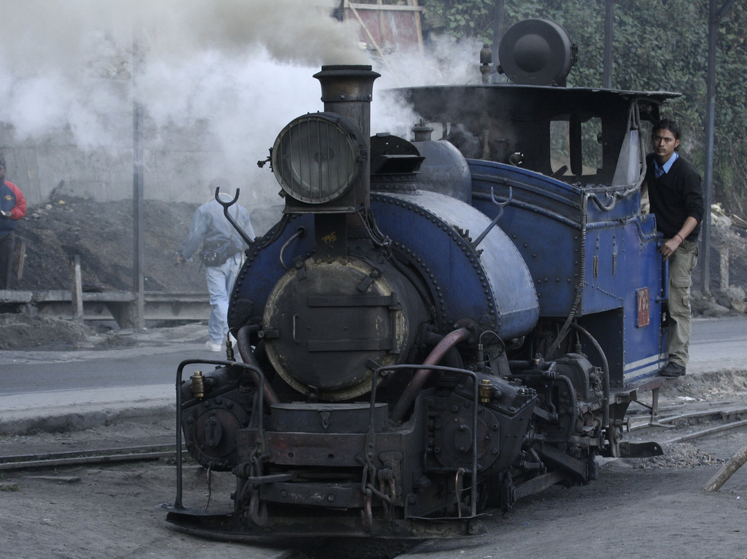 Darjeeling Himalayan Railway-大吉岭必去景点