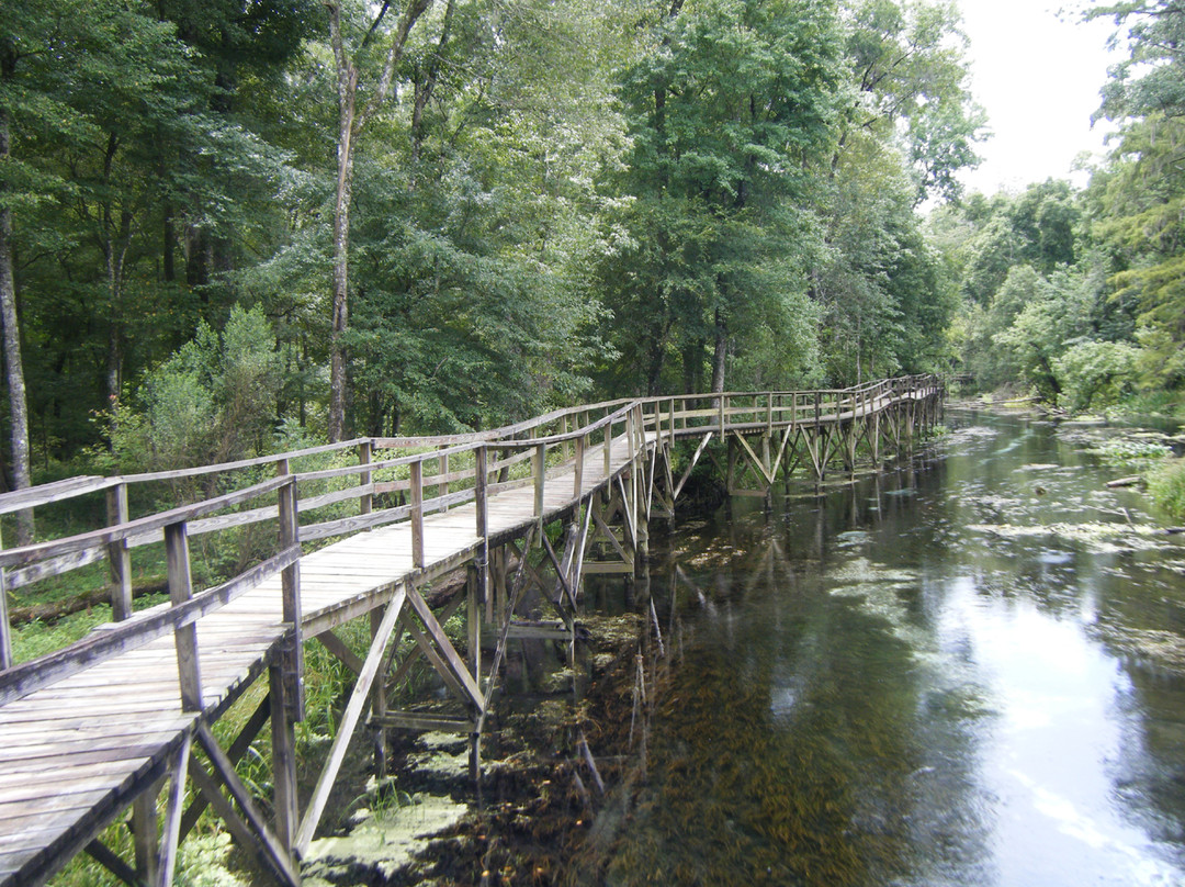 Blue Spring State Park-橙县必去景点