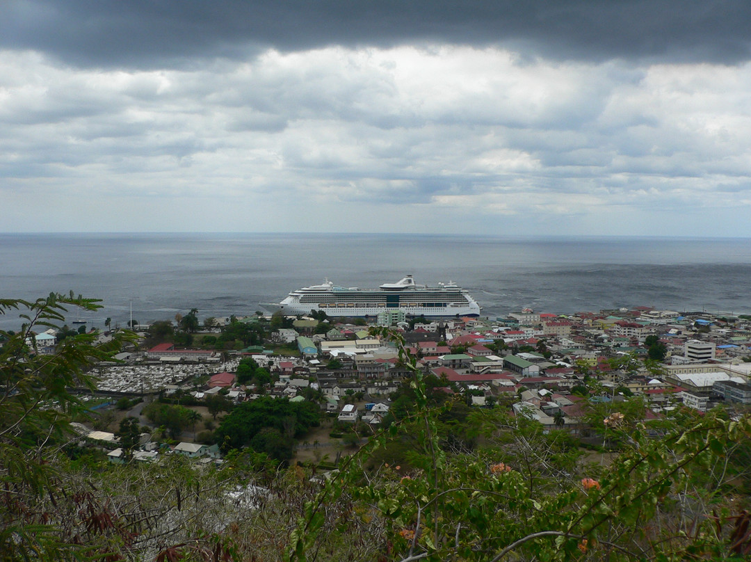 Dominica Botanic Gardens景点图片