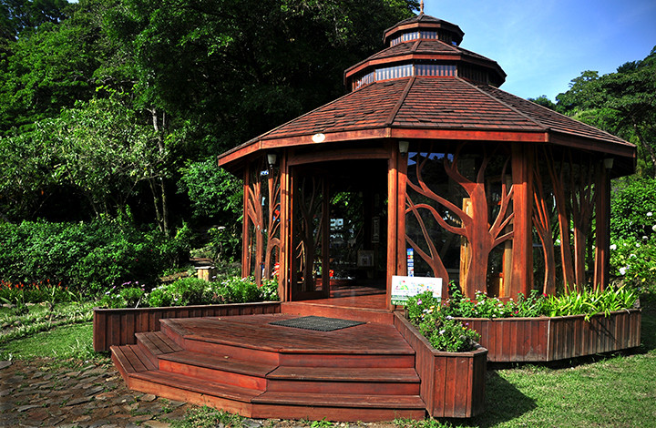Monteverde Art House景点图片