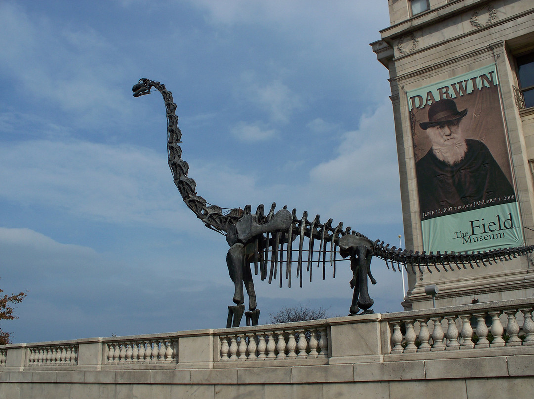 菲尔德自然史博物馆-芝加哥必去景点