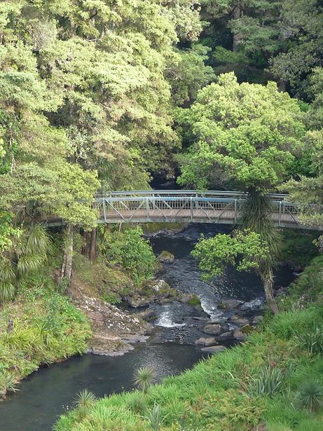 Whangarei Falls景点图片