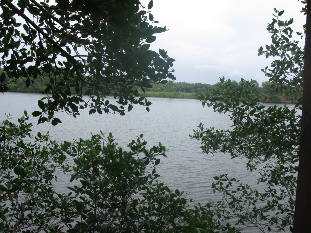 Rio San San景点图片