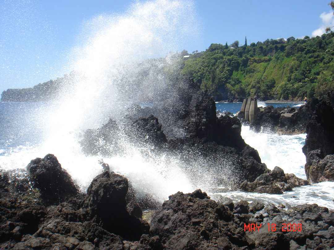 Laupahoehoe Beach Park-劳帕霍也霍也必去景点
