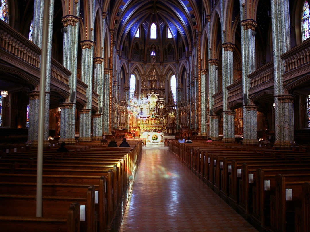 Notre Dame Cathedral Basilica景点图片