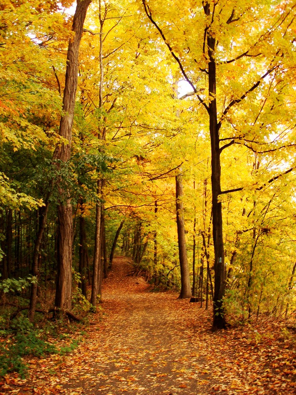 尼加拉公园休闲步道-滨湖尼亚加拉必去景点