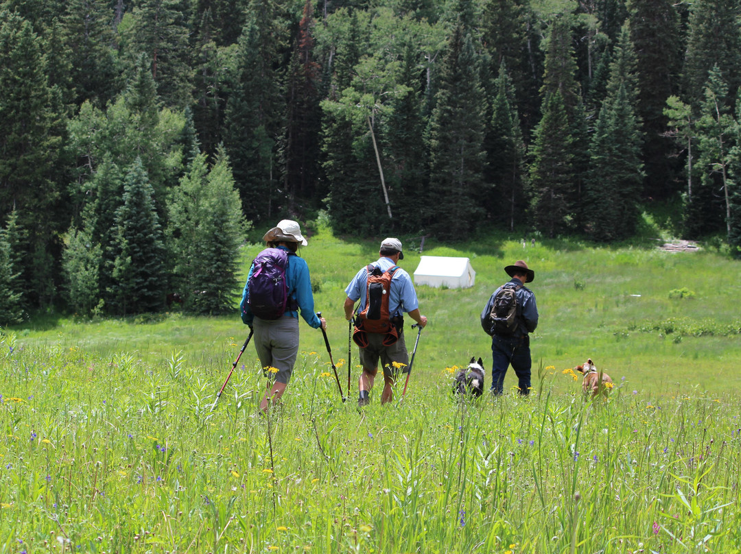 West Elk Wilderness Outfitters景点图片