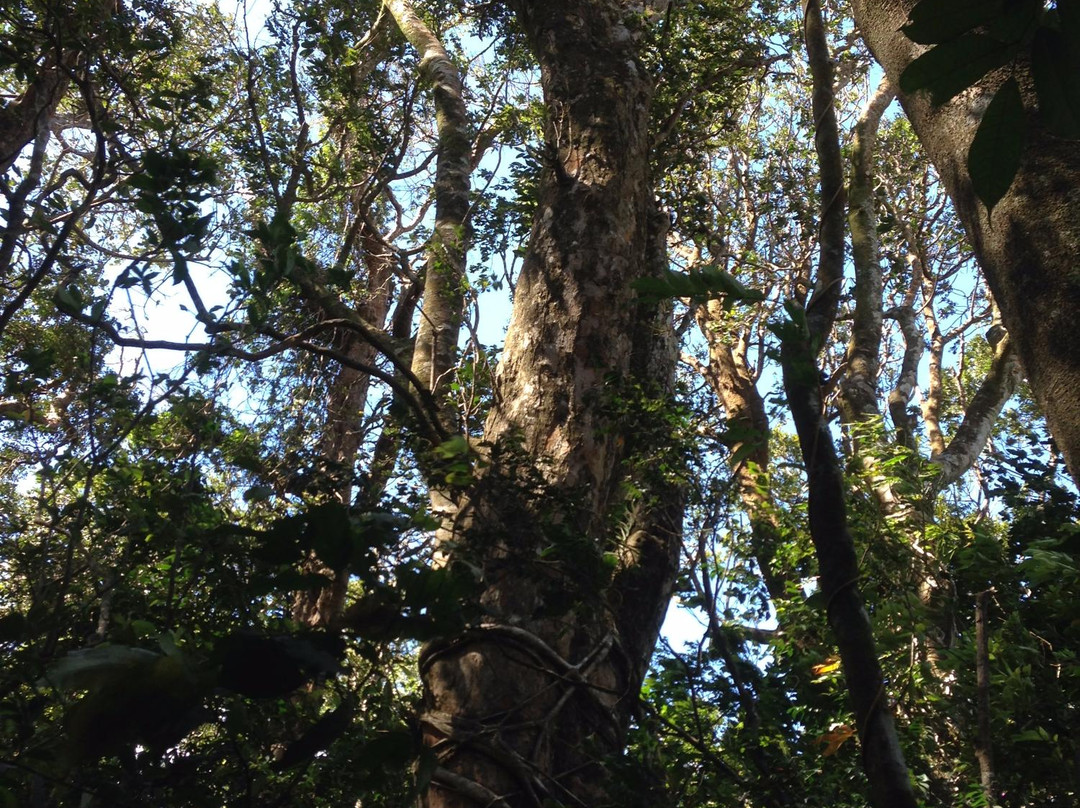Finca Agroecoturistica景点图片