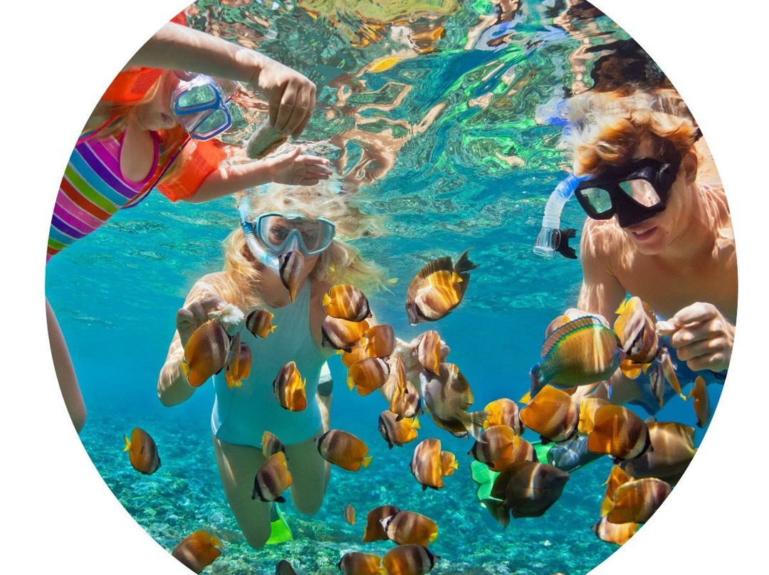 Airlie Beach Dive Centre-艾尔利滩必去景点