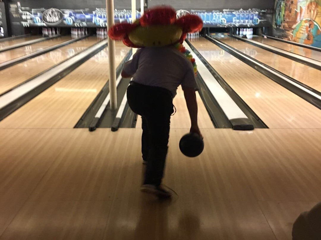 Bison Bowling Haarlem