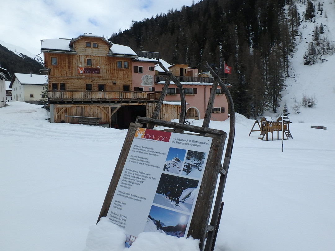 Engadin Scuol餐馆和美食-Gasthaus Mayor