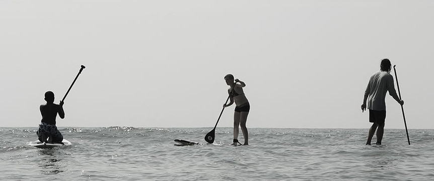 Charleston SUP Safaris-福利比奇必去景点