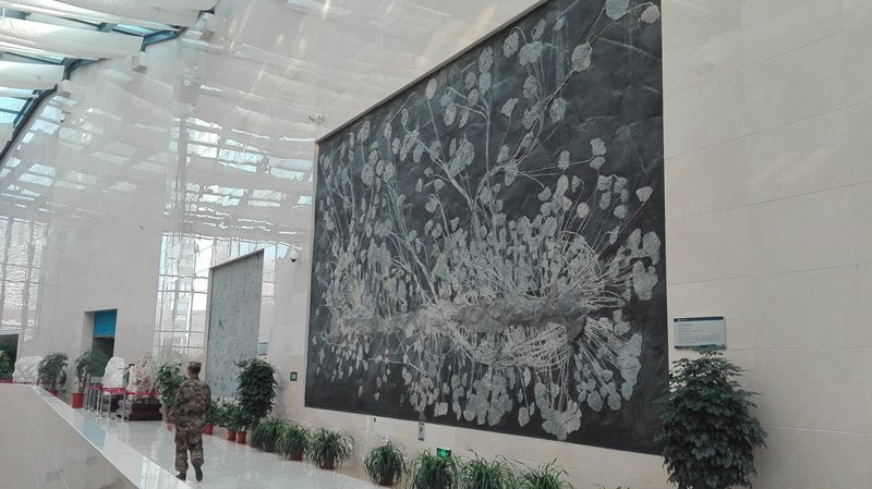 安徽省地质博物馆景点图片