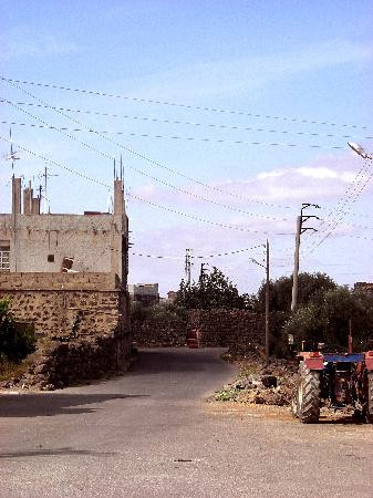 Izra旅游攻略图片