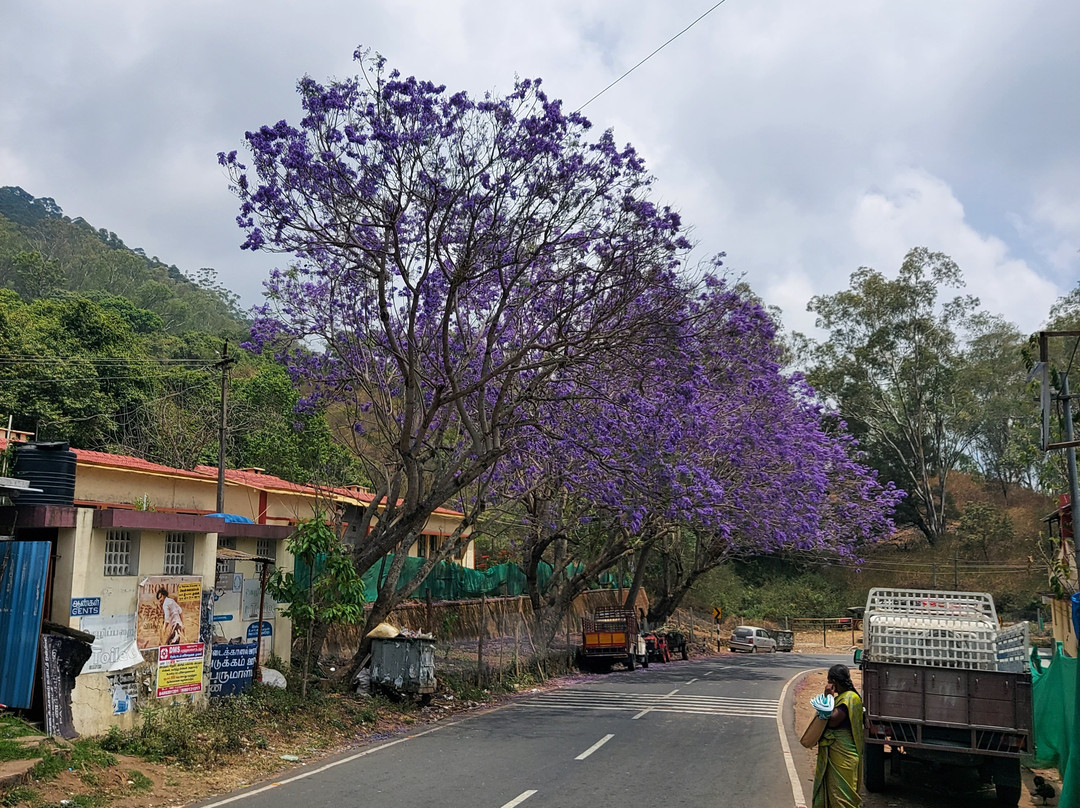 Southern Classic Tours-金奈（马德拉斯）必去景点
