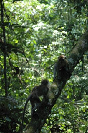 邓普勒公园-万挠必去景点