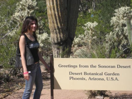 沙漠植物园-凤凰城必去景点