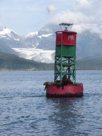 Gastineau Guiding-朱诺必去景点