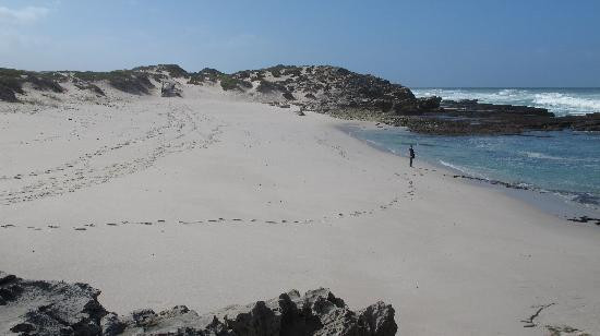 De Hoop Nature Reserve Whale Trail-De Hoop Nature Reserve必去景点
