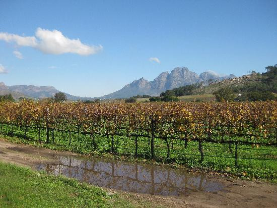 Lynx Wine-法兰舒克必去景点