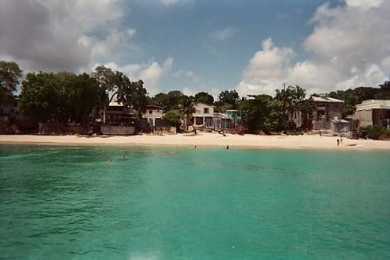 Cool Runnings Catamaran Cruises景点图片