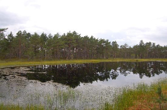 Traveller Tours-塔林必去景点