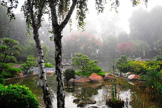 Earl Burns Miller Japanese Garden景点图片
