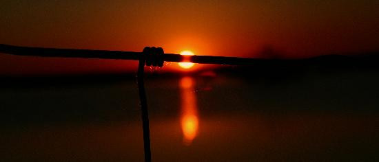 Paynes Prairie-盖恩斯维尔必去景点