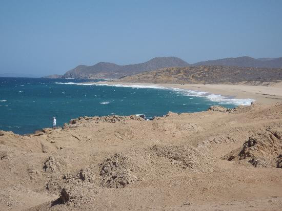 Cactus Tours-卡波圣卢卡斯必去景点