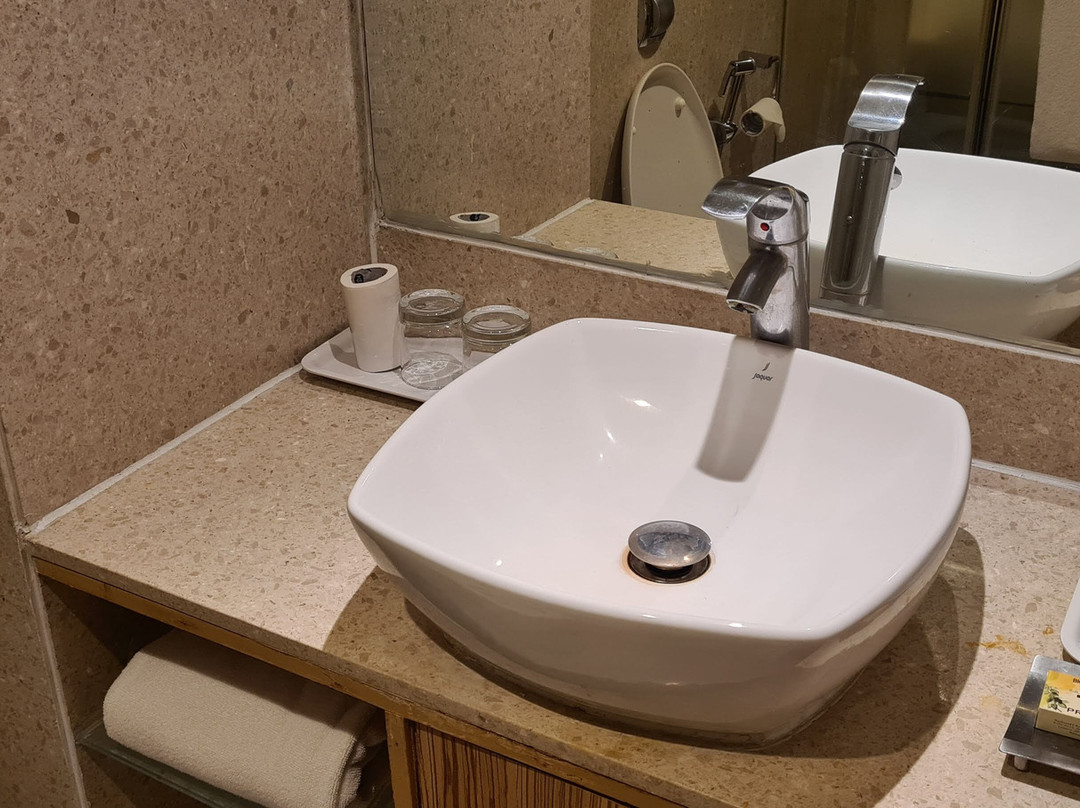 艾哈迈达巴德酒店主图