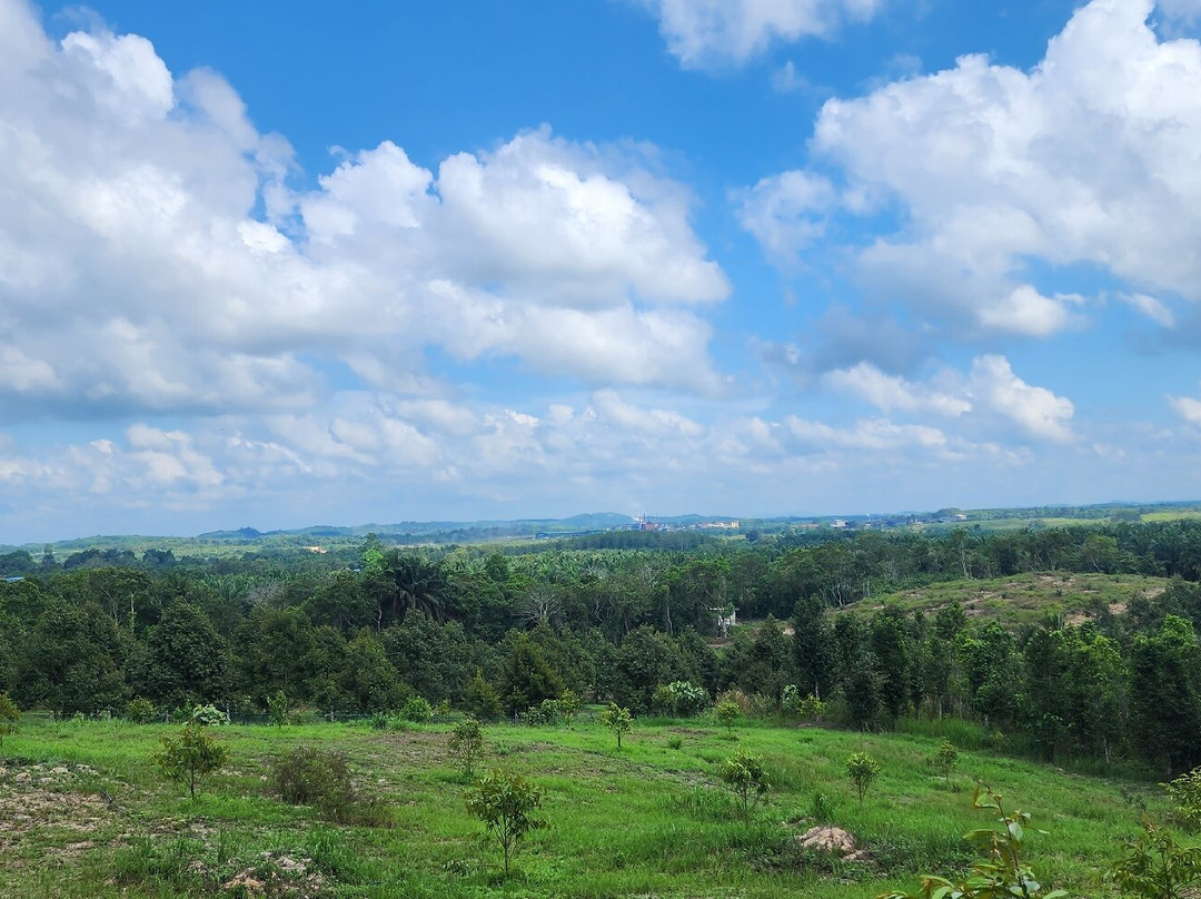 Icon Hotel Segamat主图