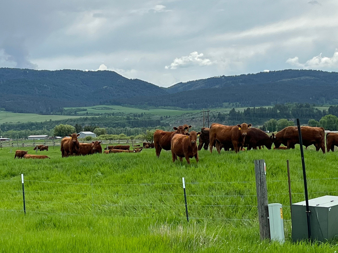 Hansen Guest Ranch主图