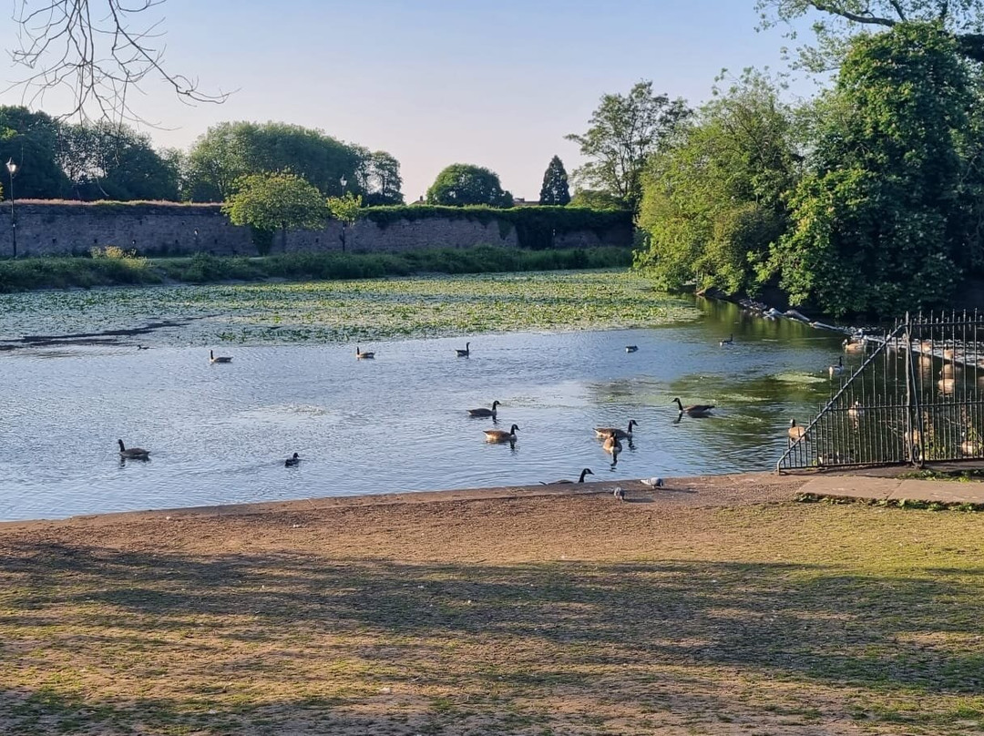 Abbey Park景点图片
