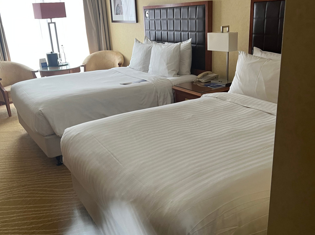 珊瑚斯特兰德明智选择主图