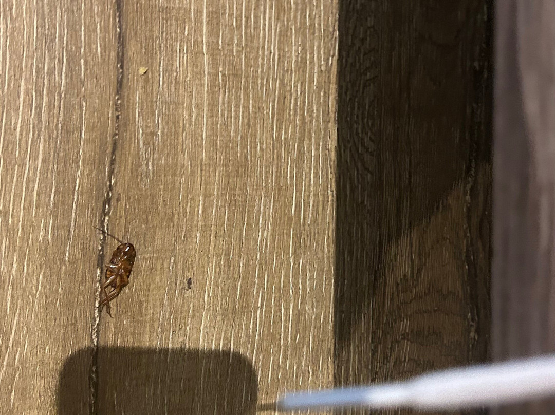 Royal Empire Boutique Hotel主图