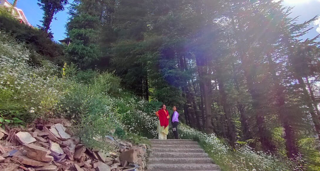 The Apple Blossom主图