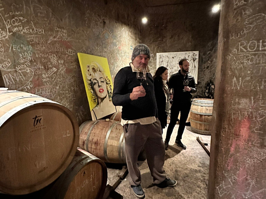 Bodega Pulmary景点图片