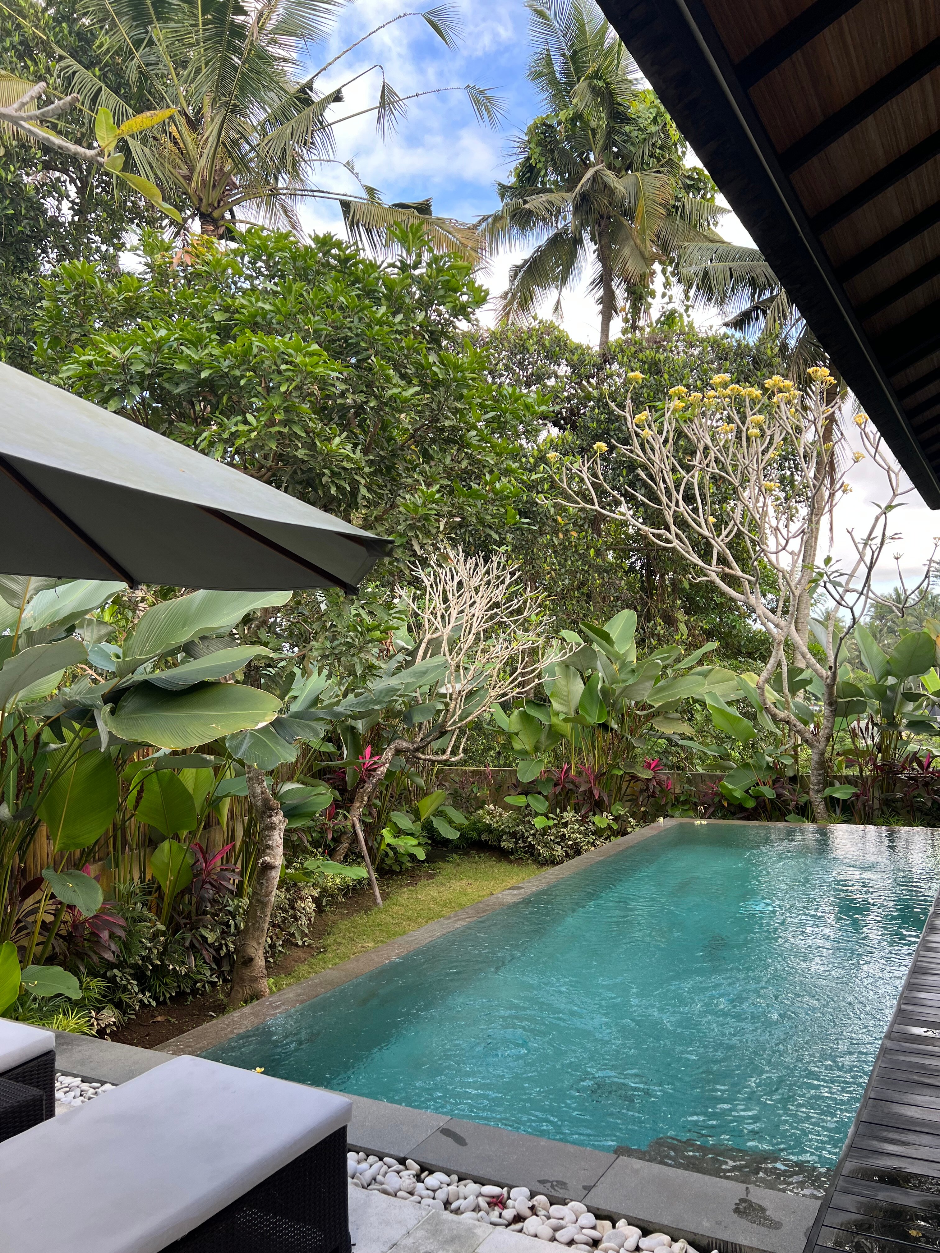 Uma Tirtha Ubud-官方