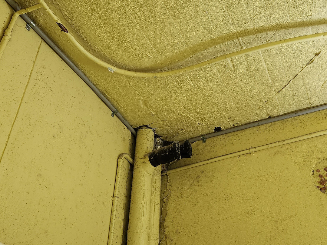 Atlantic Tower Motor Inn主图